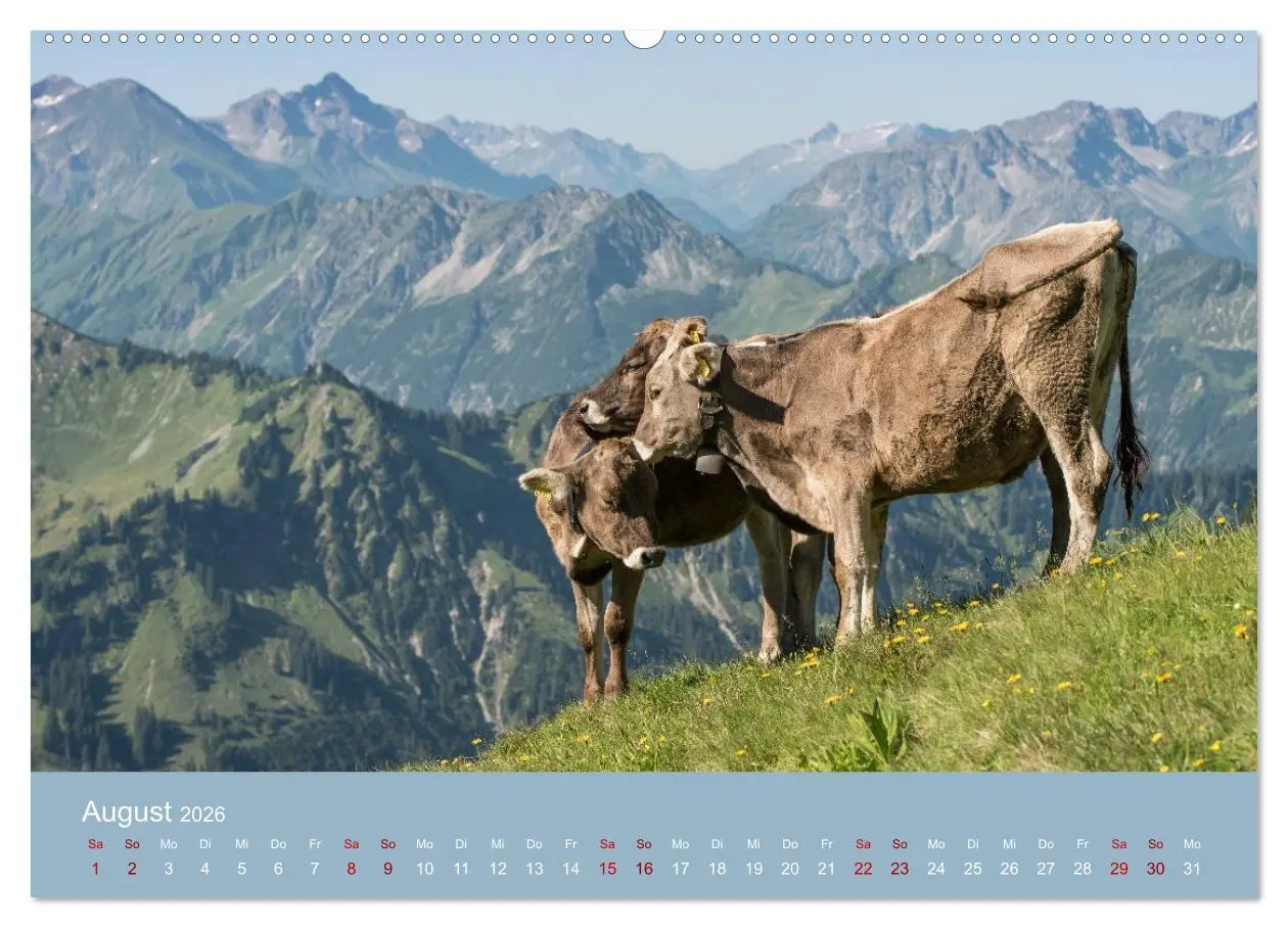 Bild: 9783457941706 | Heimweh Allgäu 2026 (Wandkalender 2026 DIN A2 quer), CALVENDO...