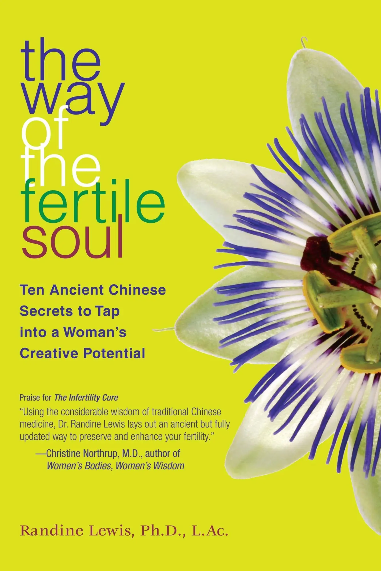 Cover: 9781582701806 | The Way of the Fertile Soul | Randine Lewis | Taschenbuch | No Series