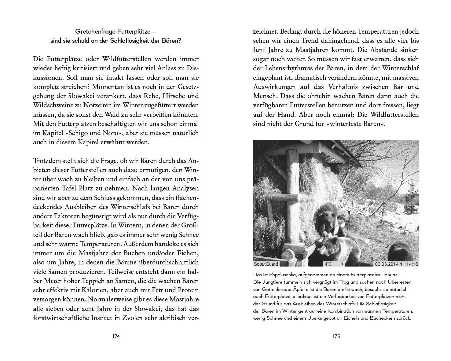 Bild: 9783453281806 | Botschafter des Waldes | Michaela Skuban | Buch | 336 S. | Deutsch