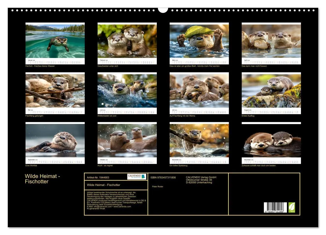 Bild: 9783457311806 | Wilde Heimat - Fischotter (Wandkalender 2026 DIN A2 quer), CALVENDO...