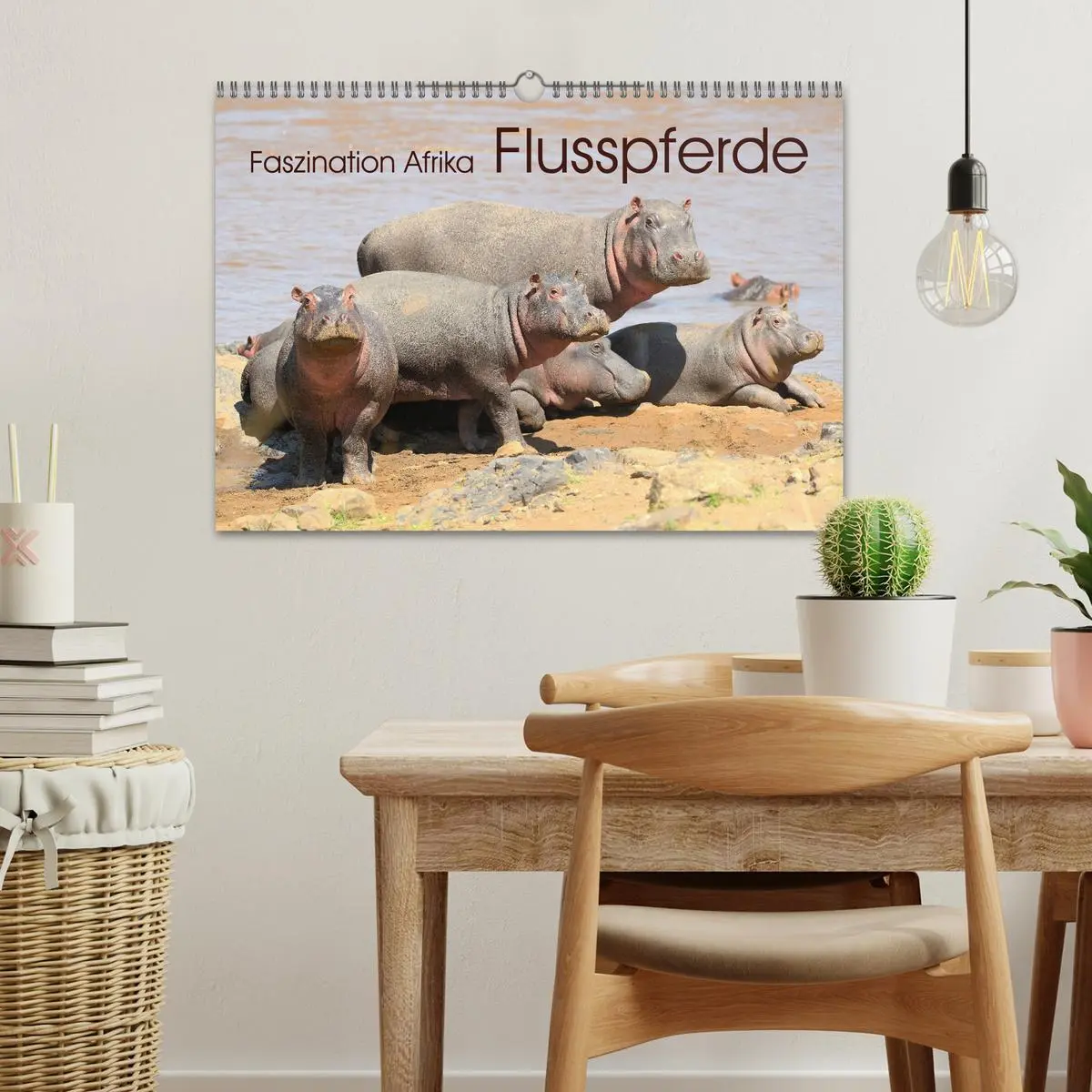 Bild: 9783457791806 | Faszination Afrika: Flusspferde (Wandkalender 2026 DIN A3 quer),...
