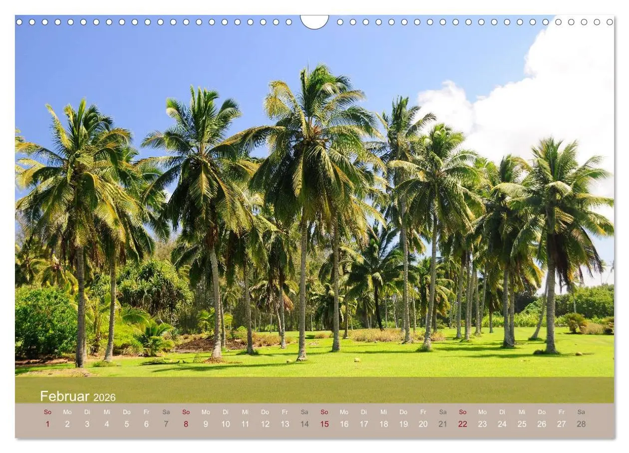 Bild: 9783516191806 | Aloha aus Hawaii (Wandkalender 2026 DIN A3 quer), CALVENDO...