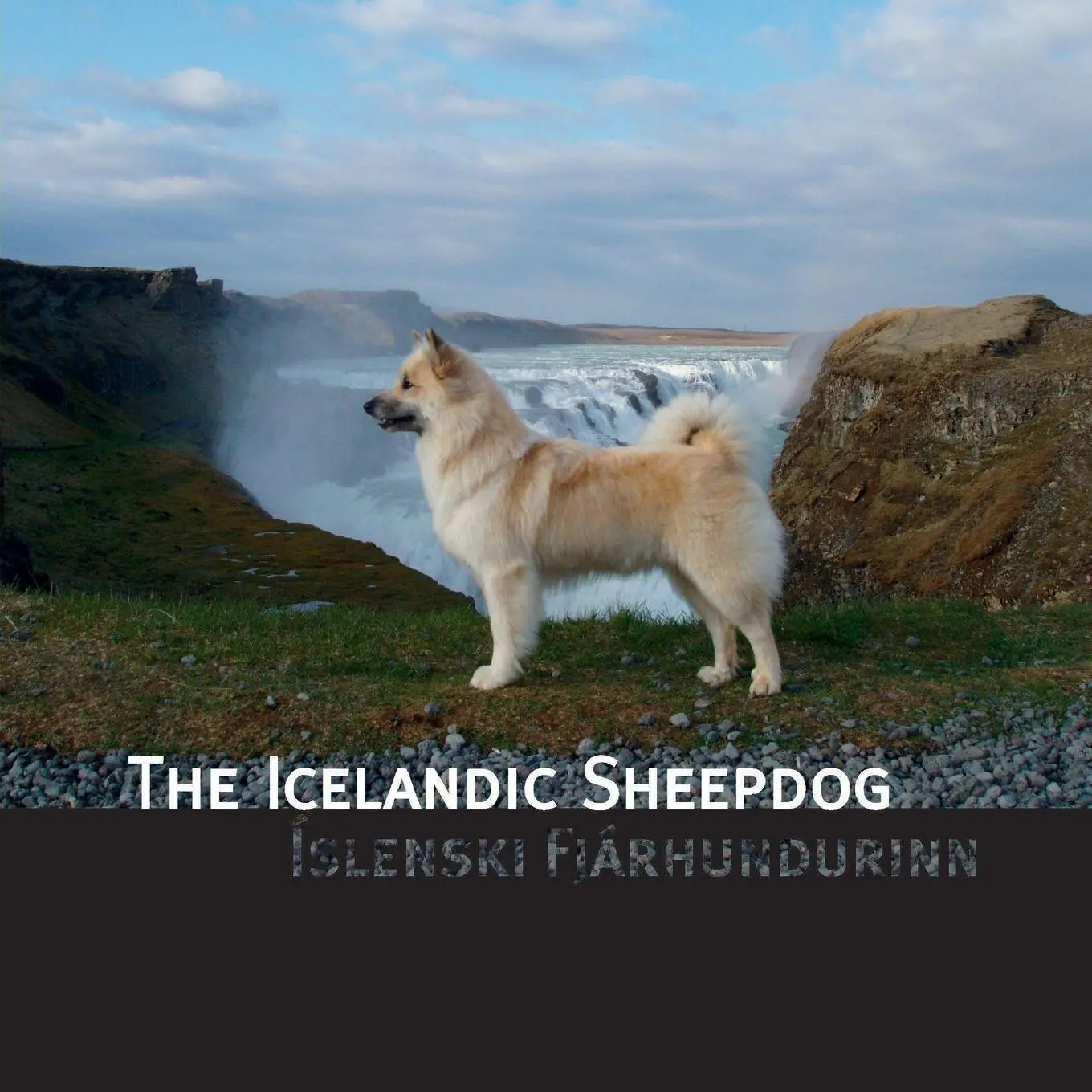 Cover: 9781977281906 | The Icelandic Sheepdog | Islenski Fjarhurdurinn | James L. Hansen
