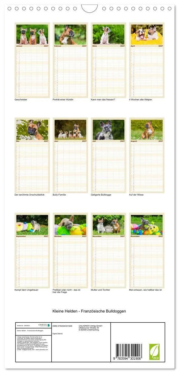 Bild: 9783594301906 | Familienplaner 2027 - Kleine Helden - Französische Bulldoggen mit 5...