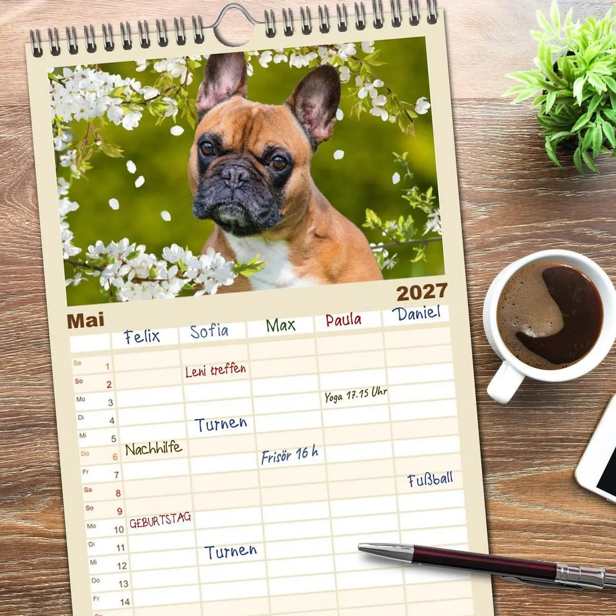 Bild: 9783594301906 | Familienplaner 2027 - Kleine Helden - Französische Bulldoggen mit 5...