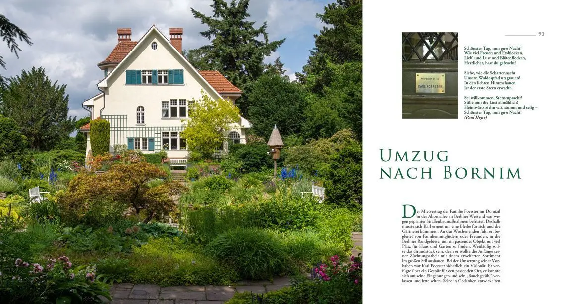 Bild: 9783867951906 | Karl Foerster | Der Stauden-Schöpfer - Neuauflage | Irmela Körner