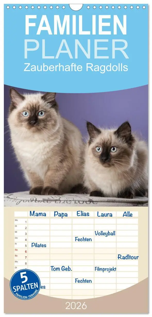 Cover: 9783516522006 | Familienplaner 2026 - Zauberhafte Ragdolls mit 5 Spalten...