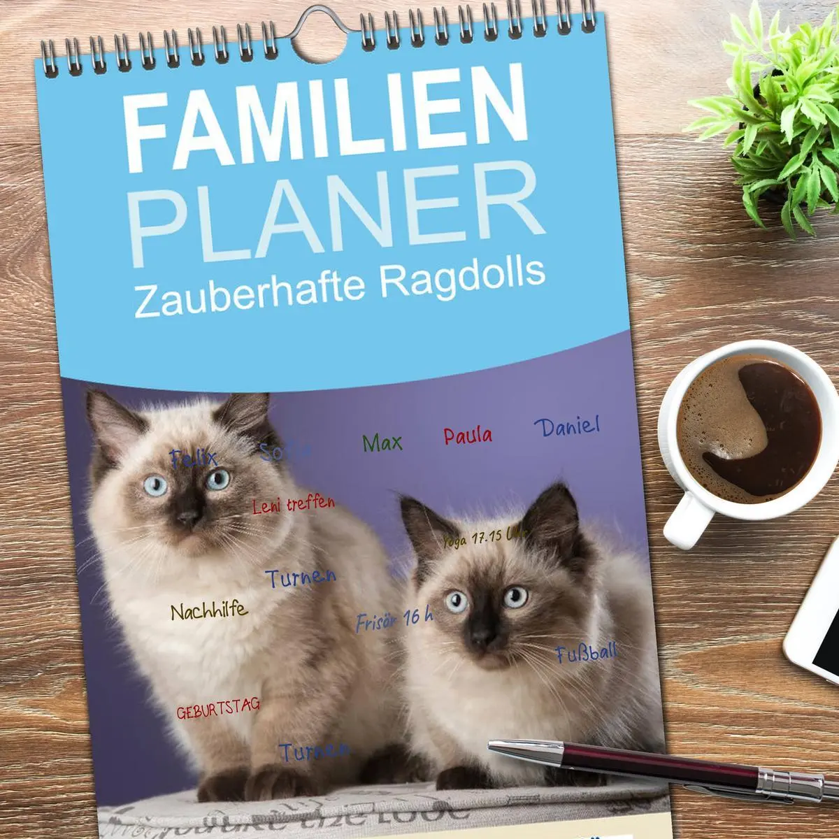Bild: 9783516522006 | Familienplaner 2026 - Zauberhafte Ragdolls mit 5 Spalten...
