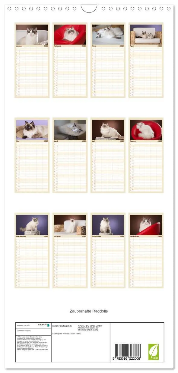 Bild: 9783516522006 | Familienplaner 2026 - Zauberhafte Ragdolls mit 5 Spalten...