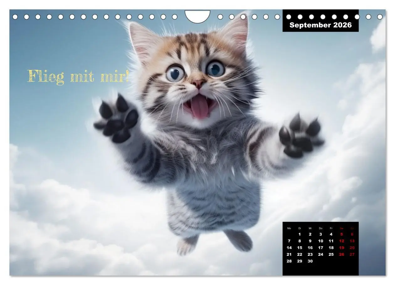 Bild: 9783457352106 | Katzen können alles, außer traurig. (Wandkalender 2026 DIN A4...