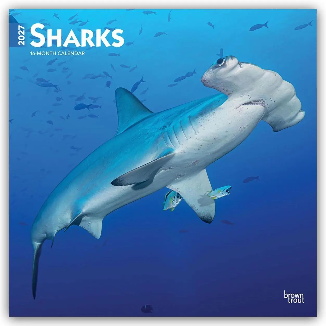 Cover: 9798330712106 | Sharks - Haie 2027 - 16-Monatskalender | Browntrout Publishers | 28 S.