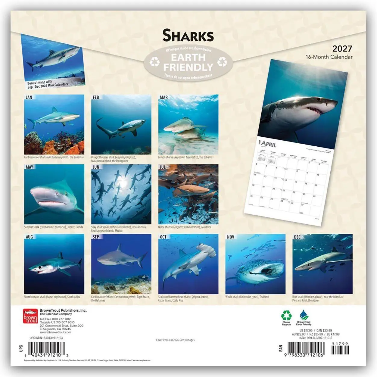 Rückseite: 9798330712106 | Sharks - Haie 2027 - 16-Monatskalender | Browntrout Publishers | 28 S.