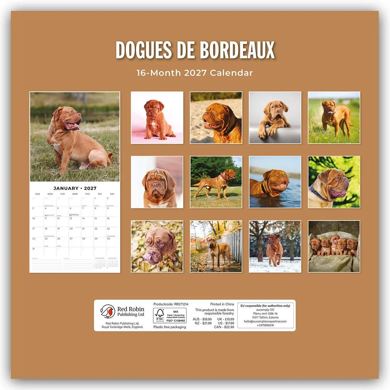 Bild: 9781837012206 | Dogues de Bordeaux - Bordeauxdoggen - Bordeaux Doggen 2027 -...