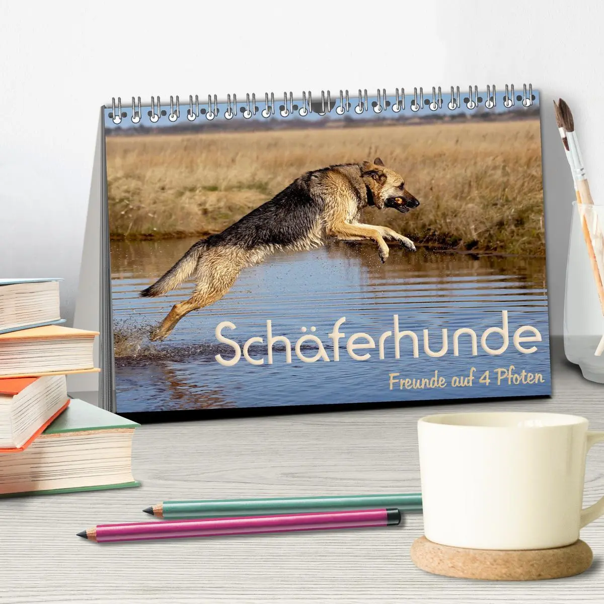 Bild: 9783457892206 | Schäferhunde - Freunde auf 4 Pfoten (Tischkalender 2026 DIN A5...