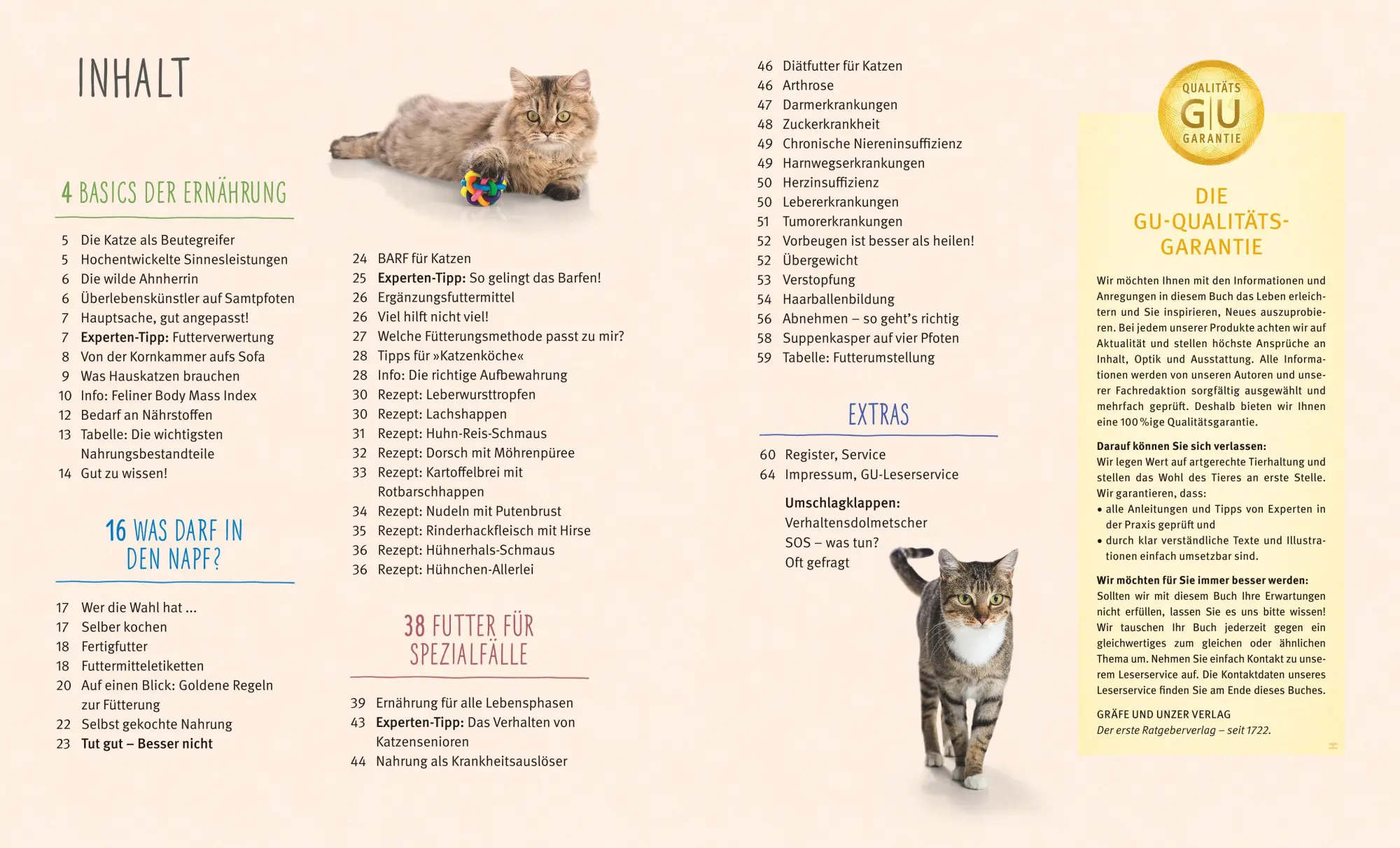 Bild: 9783833852206 | Katzen gesund ernähren | Rundum gut versorgt | Michael Streicher