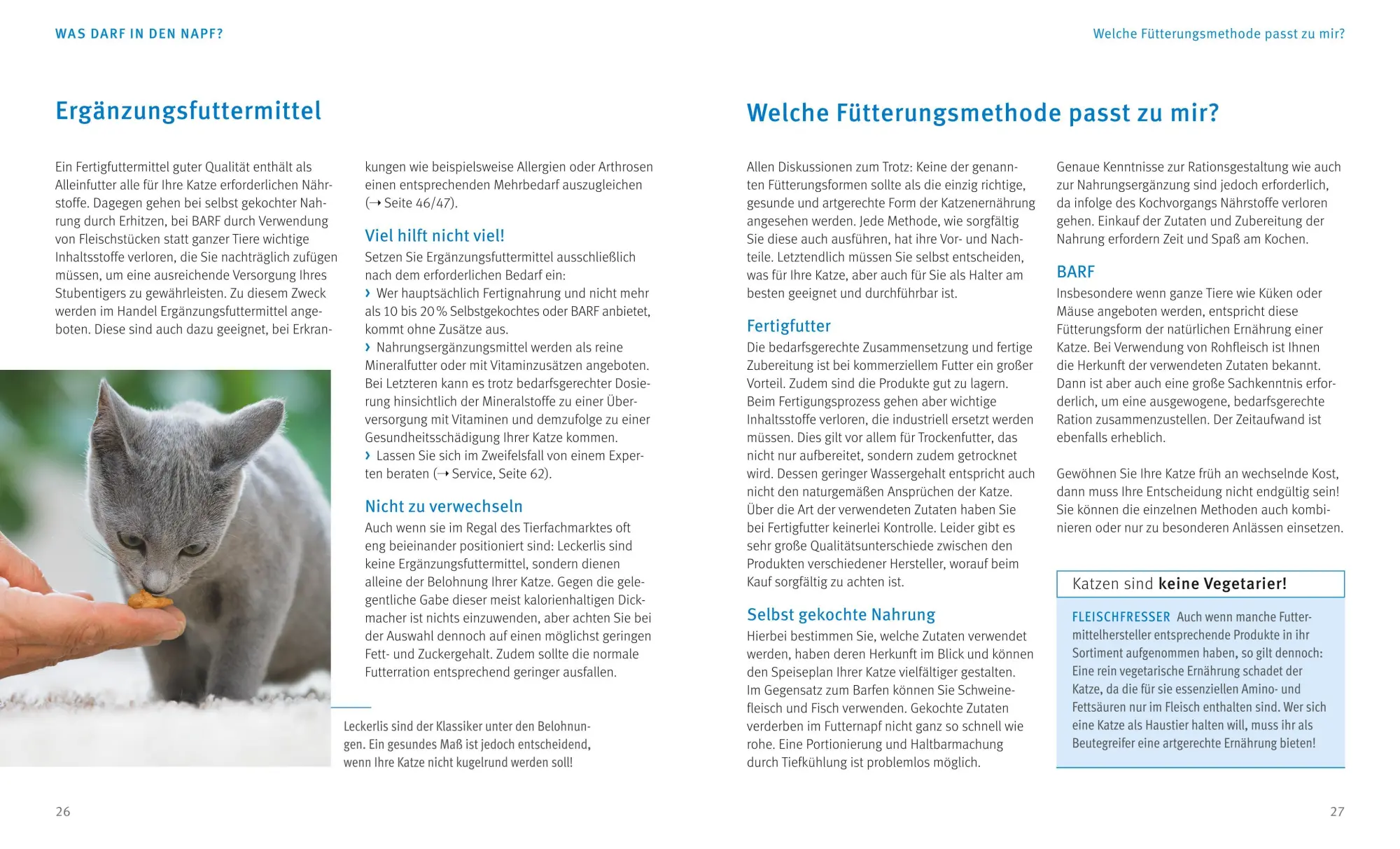 Bild: 9783833852206 | Katzen gesund ernähren | Rundum gut versorgt | Michael Streicher