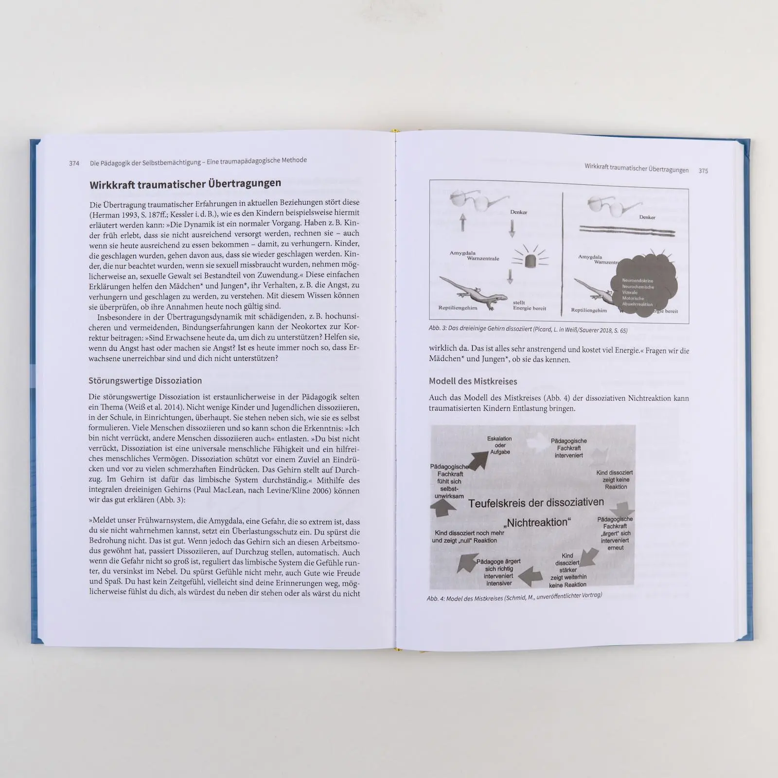 Bild: 9783407832306 | Handbuch Traumapädagogik | Mit E-Book inside | Wilma Weiß (u. a.)
