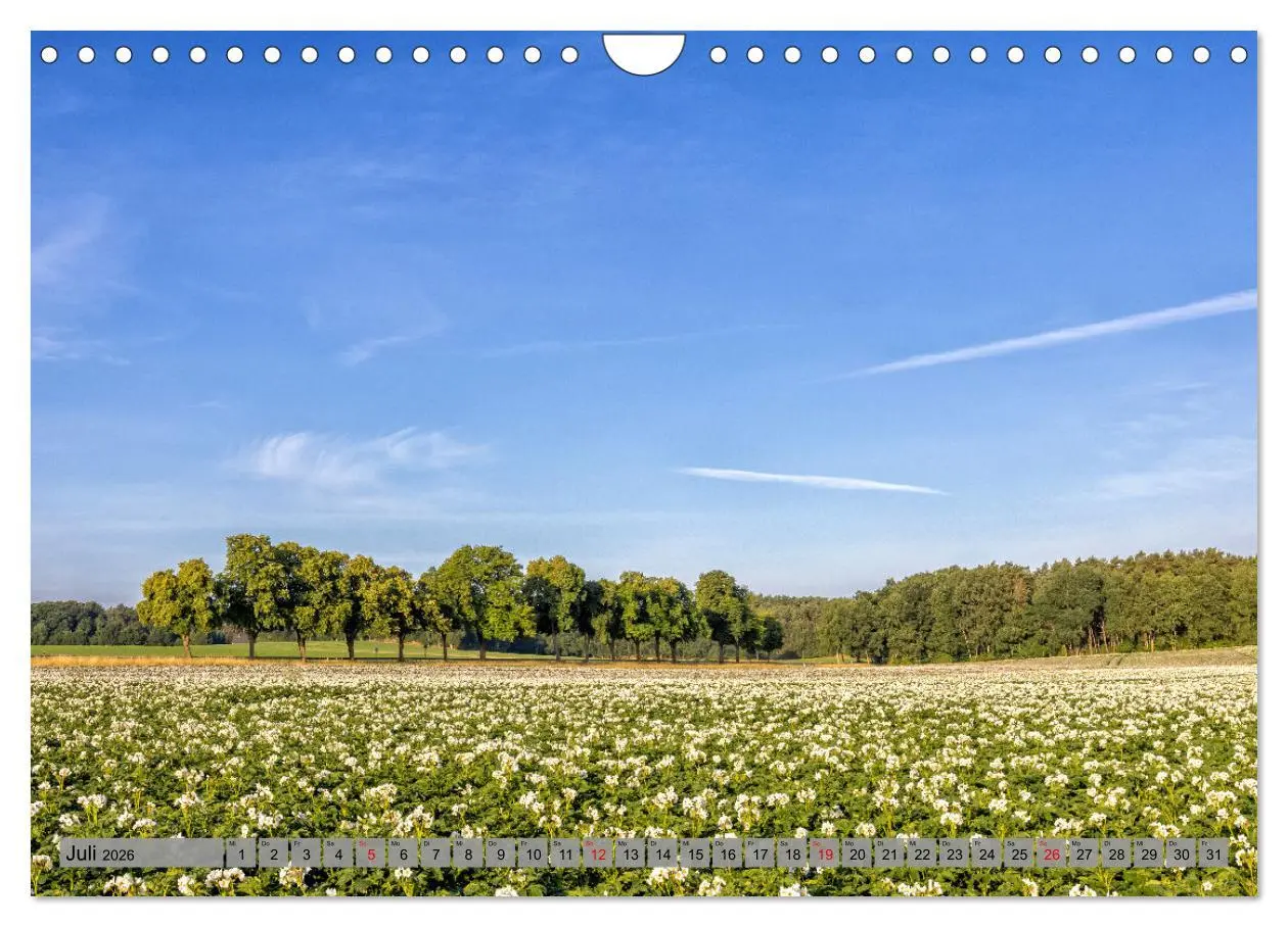 Bild: 9783457572306 | Erlebnis Wendland (Wandkalender 2026 DIN A4 quer), CALVENDO...