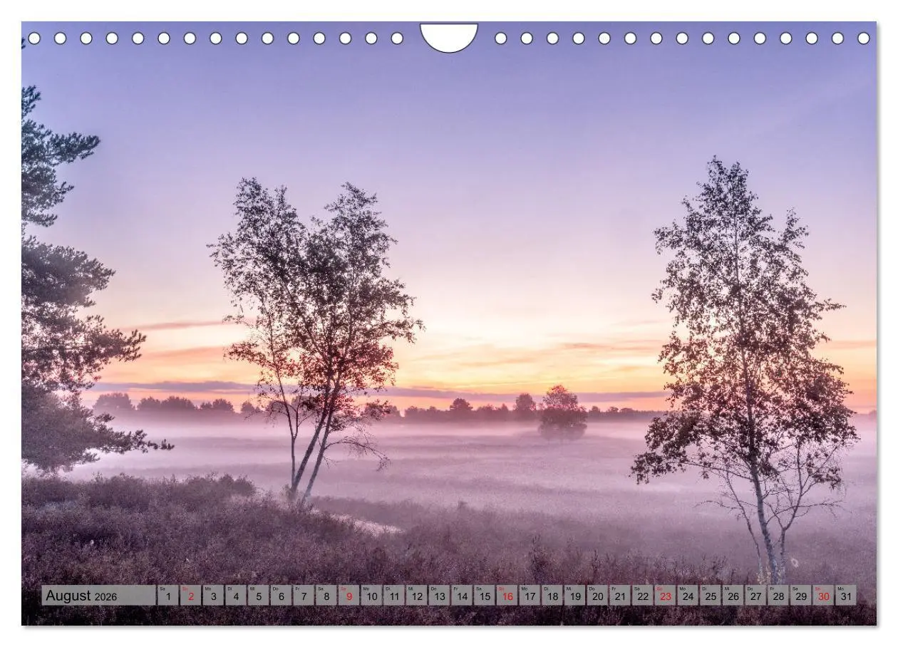 Bild: 9783457572306 | Erlebnis Wendland (Wandkalender 2026 DIN A4 quer), CALVENDO...