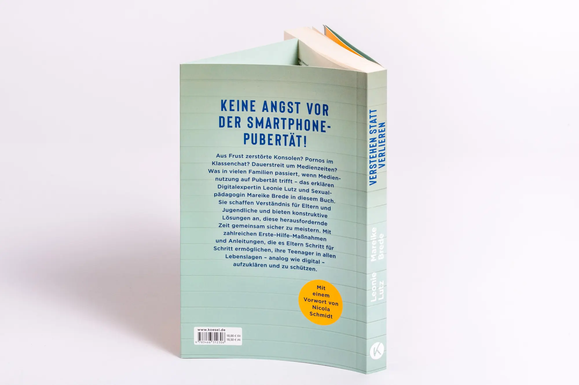 Bild: 9783466312306 | Verstehen statt verlieren | Leonie Lutz (u. a.) | Taschenbuch | 256 S.