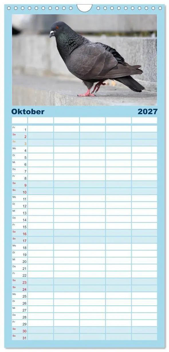Bild: 9783594332306 | Familienplaner 2027 - Geliebte Tauben mit 5 Spalten (Wandkalender,...