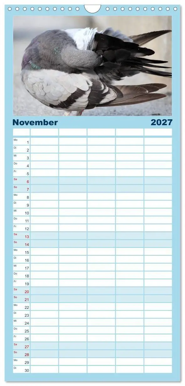 Bild: 9783594332306 | Familienplaner 2027 - Geliebte Tauben mit 5 Spalten (Wandkalender,...