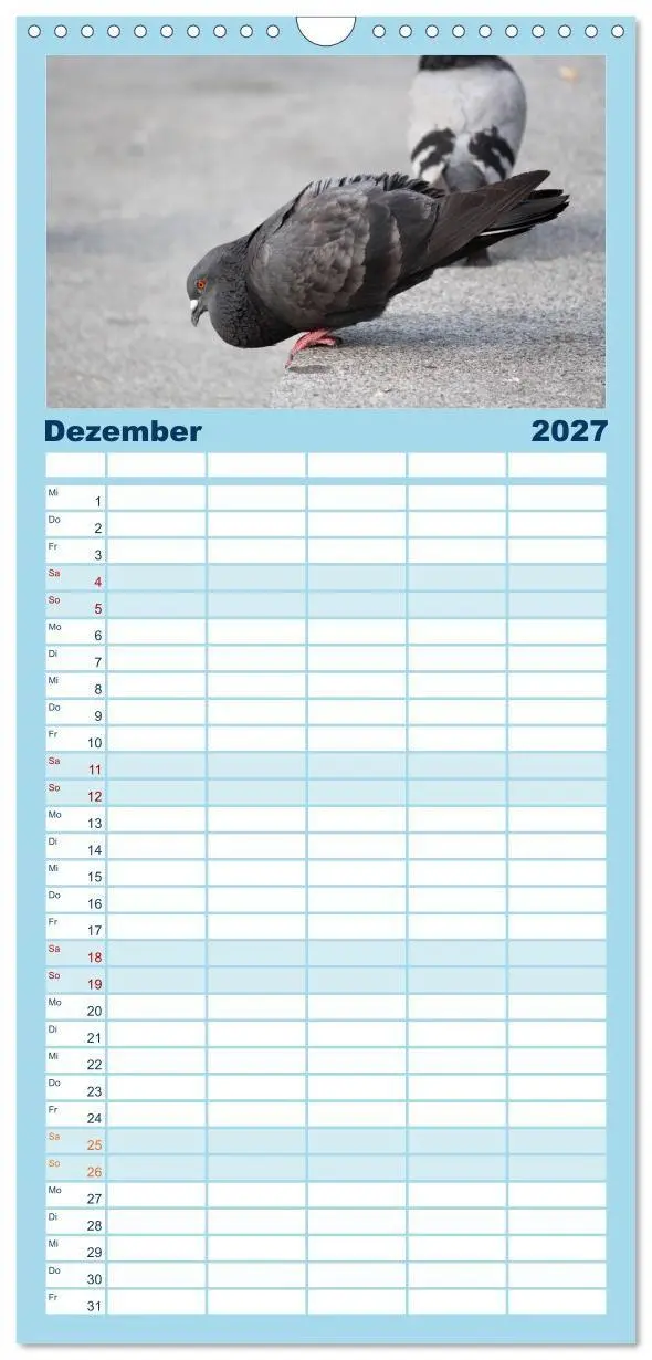 Bild: 9783594332306 | Familienplaner 2027 - Geliebte Tauben mit 5 Spalten (Wandkalender,...