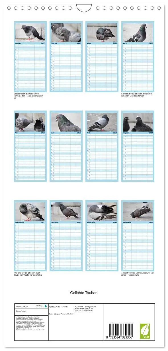 Bild: 9783594332306 | Familienplaner 2027 - Geliebte Tauben mit 5 Spalten (Wandkalender,...
