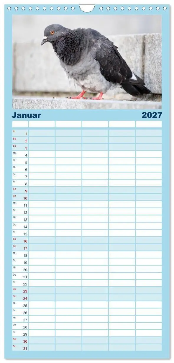 Bild: 9783594332306 | Familienplaner 2027 - Geliebte Tauben mit 5 Spalten (Wandkalender,...