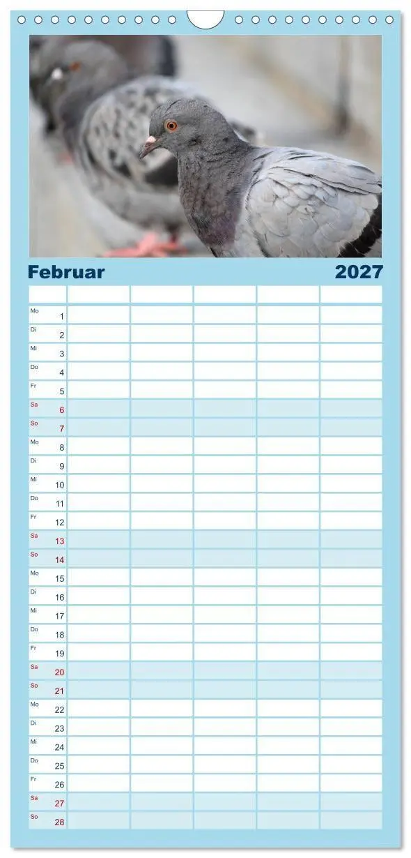 Bild: 9783594332306 | Familienplaner 2027 - Geliebte Tauben mit 5 Spalten (Wandkalender,...