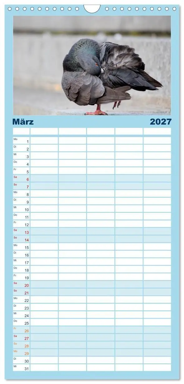 Bild: 9783594332306 | Familienplaner 2027 - Geliebte Tauben mit 5 Spalten (Wandkalender,...
