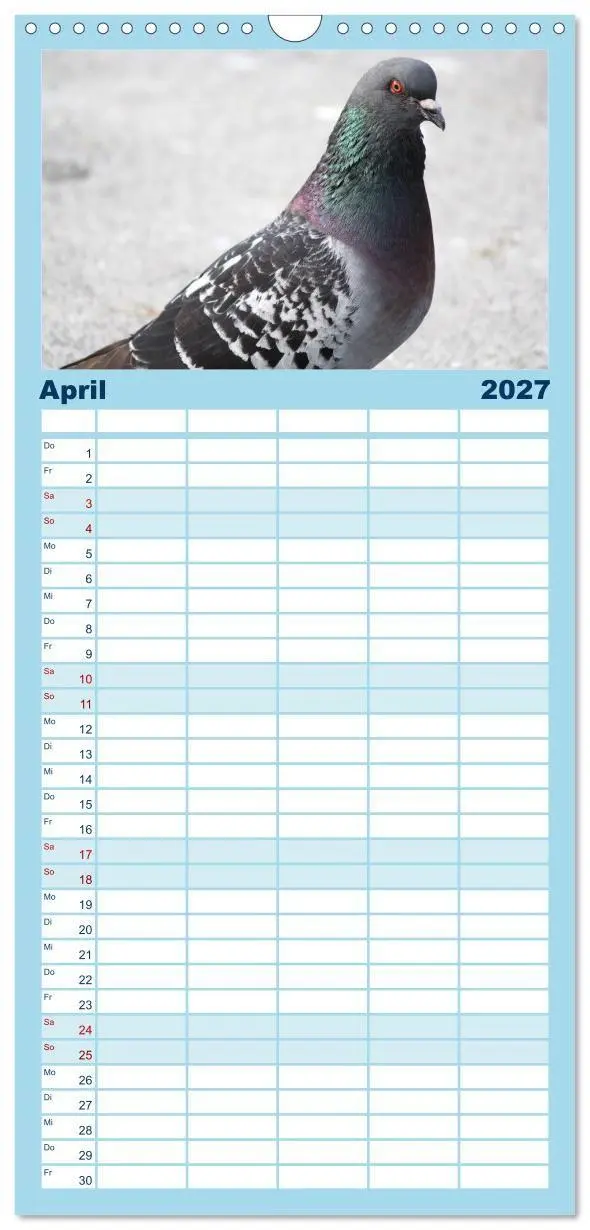 Bild: 9783594332306 | Familienplaner 2027 - Geliebte Tauben mit 5 Spalten (Wandkalender,...