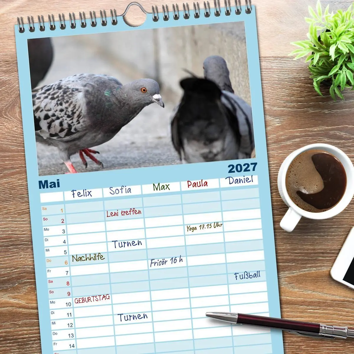 Bild: 9783594332306 | Familienplaner 2027 - Geliebte Tauben mit 5 Spalten (Wandkalender,...