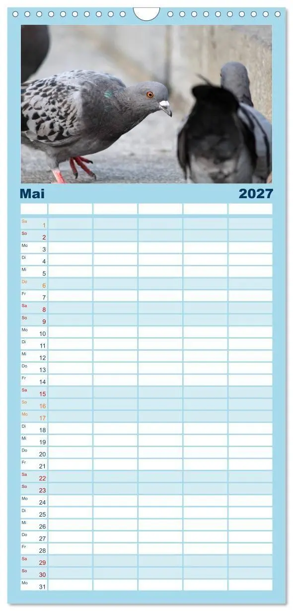 Bild: 9783594332306 | Familienplaner 2027 - Geliebte Tauben mit 5 Spalten (Wandkalender,...