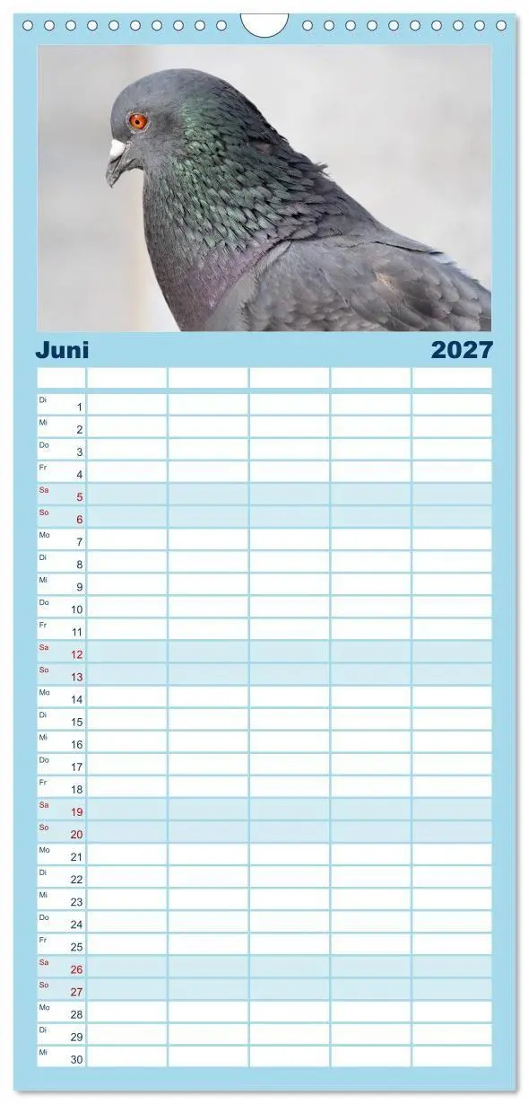 Bild: 9783594332306 | Familienplaner 2027 - Geliebte Tauben mit 5 Spalten (Wandkalender,...