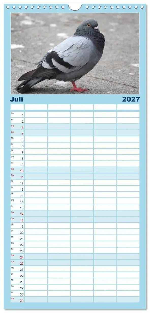 Bild: 9783594332306 | Familienplaner 2027 - Geliebte Tauben mit 5 Spalten (Wandkalender,...