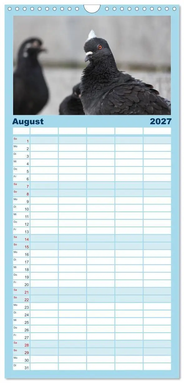 Bild: 9783594332306 | Familienplaner 2027 - Geliebte Tauben mit 5 Spalten (Wandkalender,...
