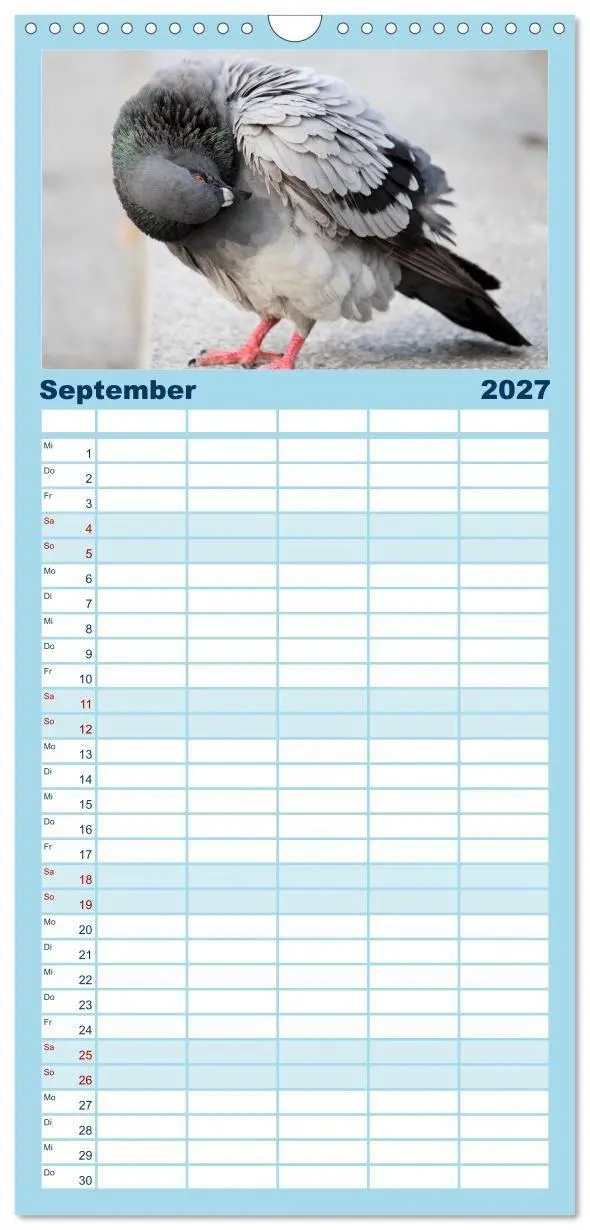 Bild: 9783594332306 | Familienplaner 2027 - Geliebte Tauben mit 5 Spalten (Wandkalender,...