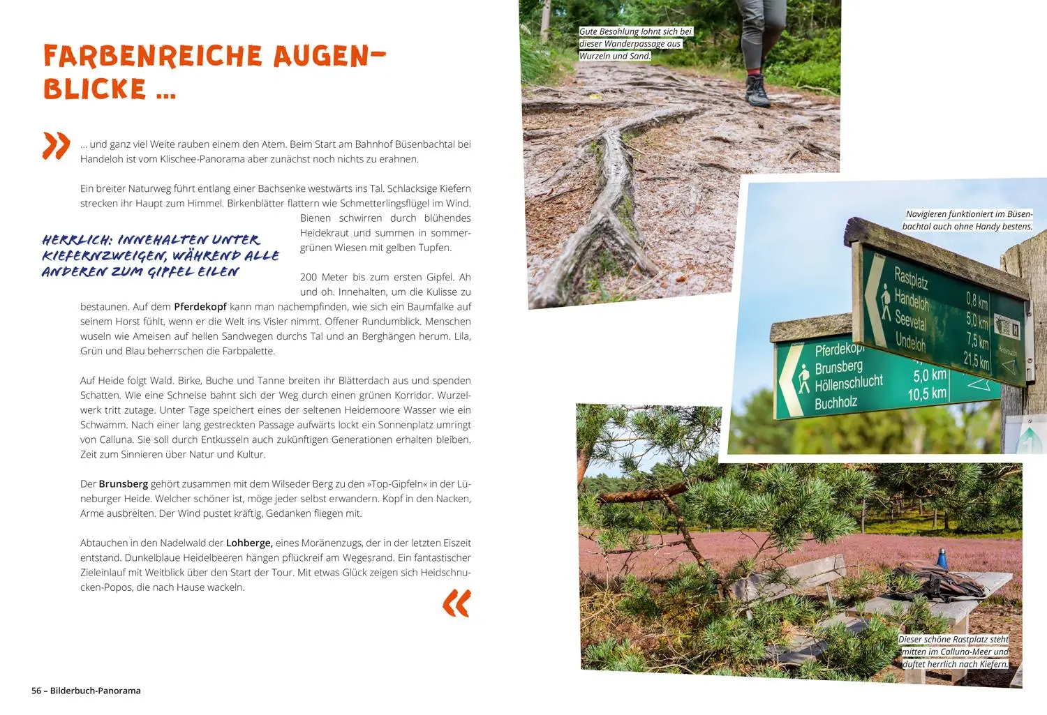 Bild: 9783616032306 | DUMONT Wanderzeit in der Lüneburger Heide | Sonja Anwar | Taschenbuch