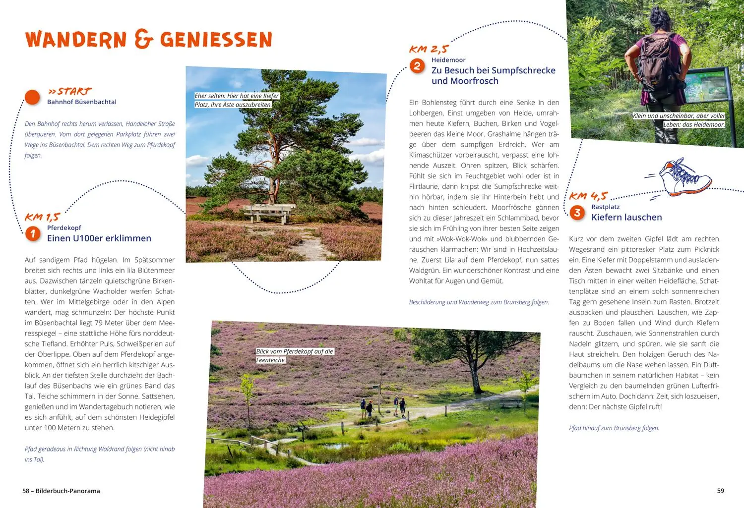Bild: 9783616032306 | DUMONT Wanderzeit in der Lüneburger Heide | Sonja Anwar | Taschenbuch