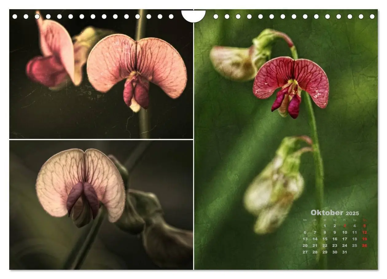 Bild: 9783435612406 | Blumenreise 2025 (Wandkalender 2025 DIN A4 quer), CALVENDO...
