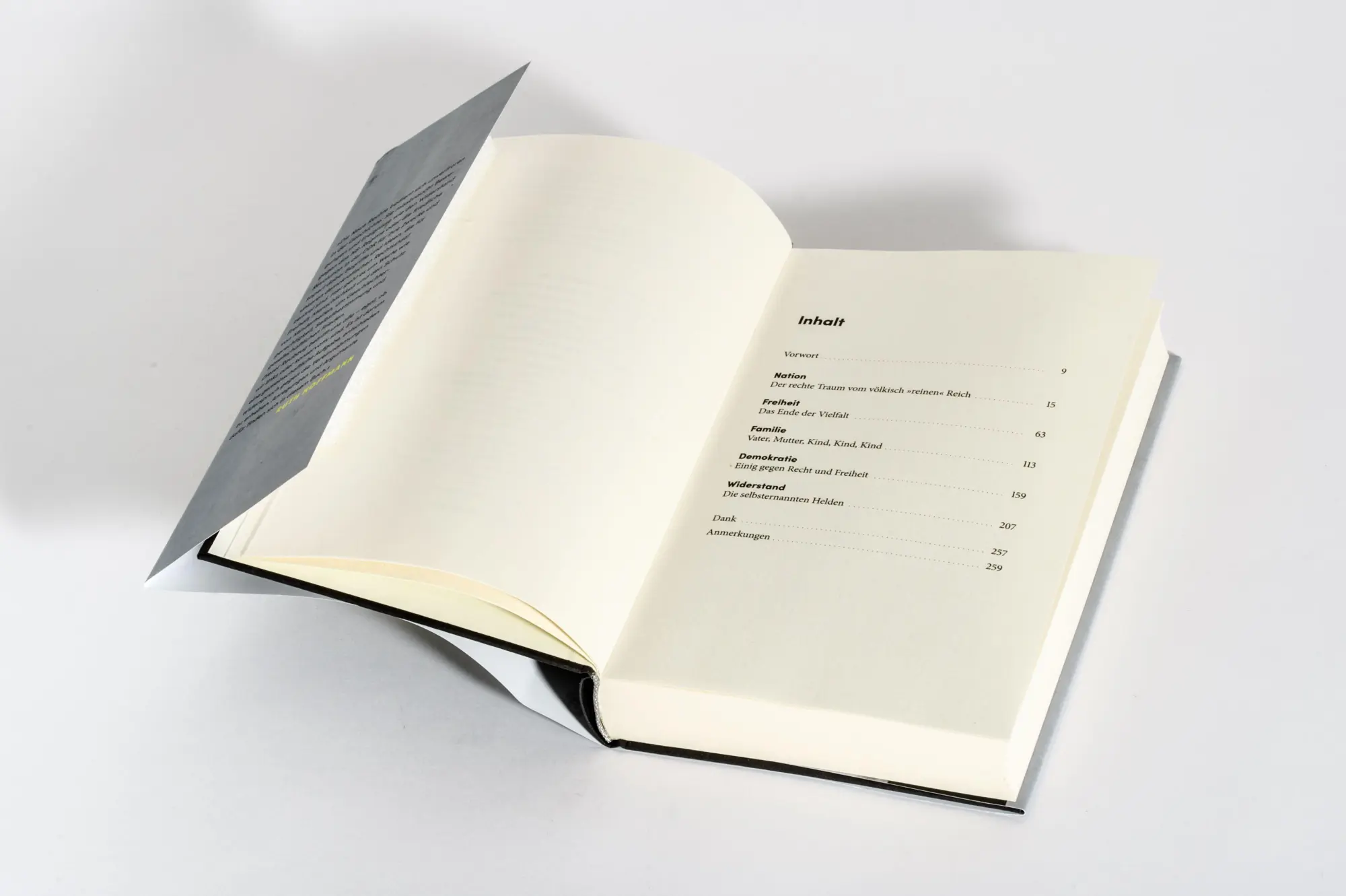 Bild: 9783442302406 | Raubzug von rechts | Ruth Hoffmann | Buch | 288 S. | Deutsch | 2026