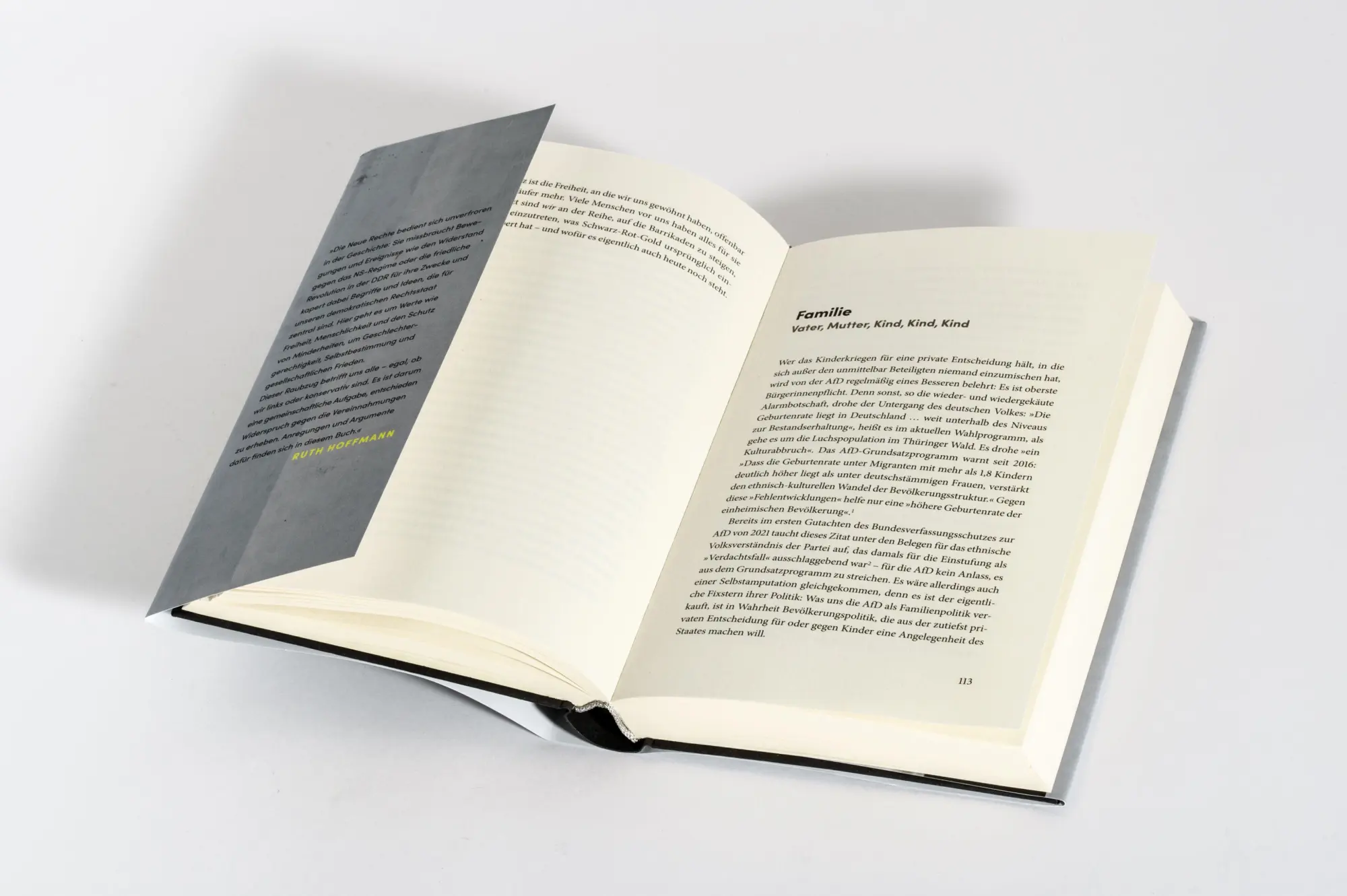 Bild: 9783442302406 | Raubzug von rechts | Ruth Hoffmann | Buch | 288 S. | Deutsch | 2026