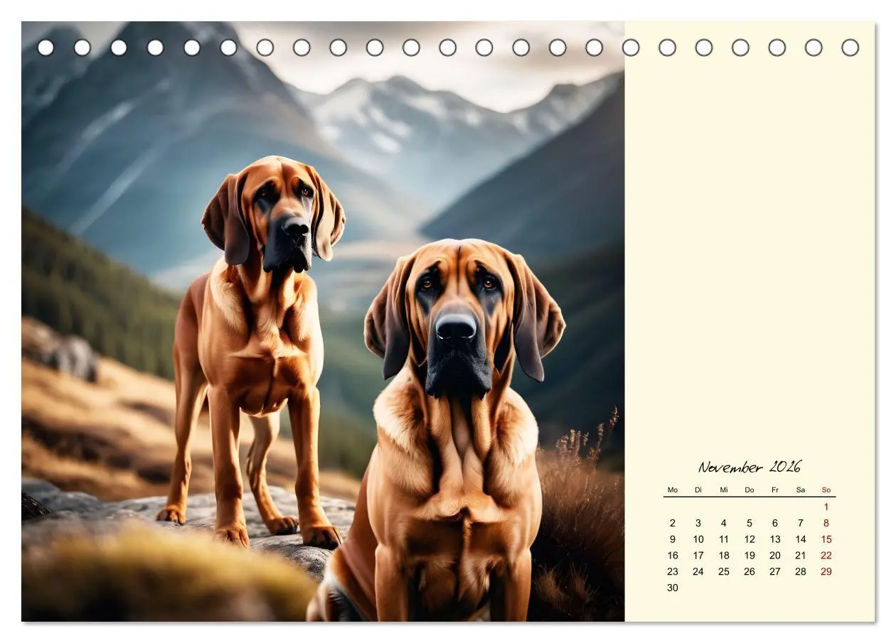 Bild: 9783457252406 | Bloodhound - Mächtige Spürnase (Tischkalender 2026 DIN A5 quer),...