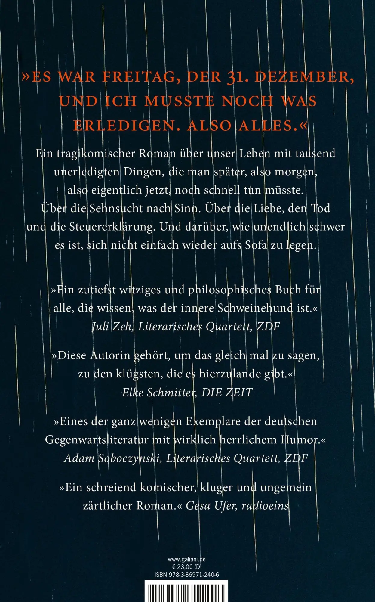 Rückseite: 9783869712406 | Kleine Probleme | Roman | Nele Pollatschek | Buch | 208 S. | Deutsch
