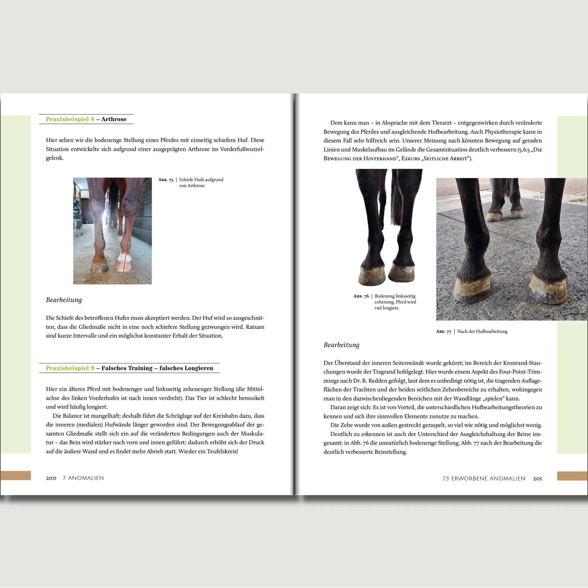 Bild: 9783758202506 | Hufwerk | Handbuch zum Pferdehuf | Kati Jurth | Taschenbuch | 304 S.
