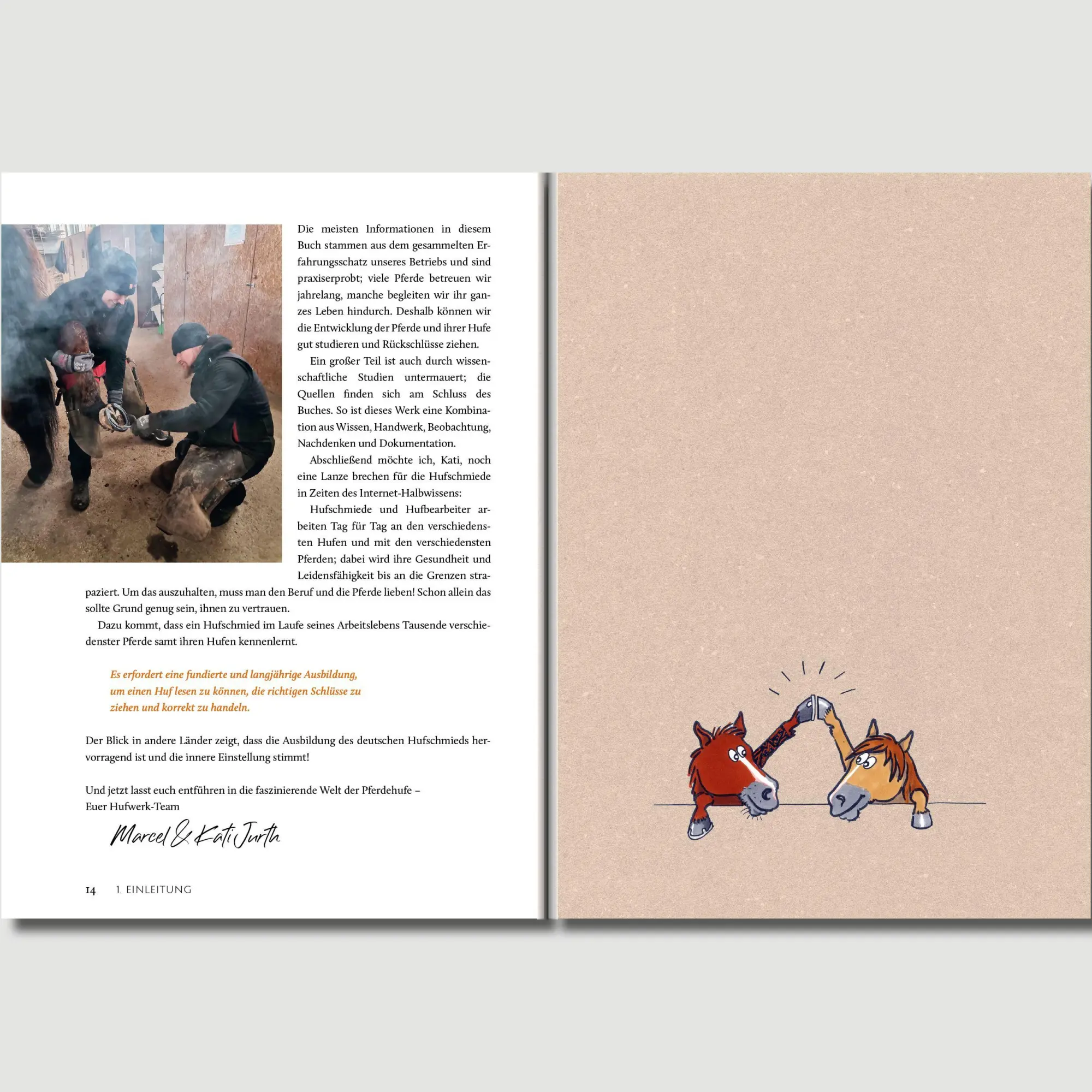 Bild: 9783758202506 | Hufwerk | Handbuch zum Pferdehuf | Kati Jurth | Taschenbuch | 304 S.