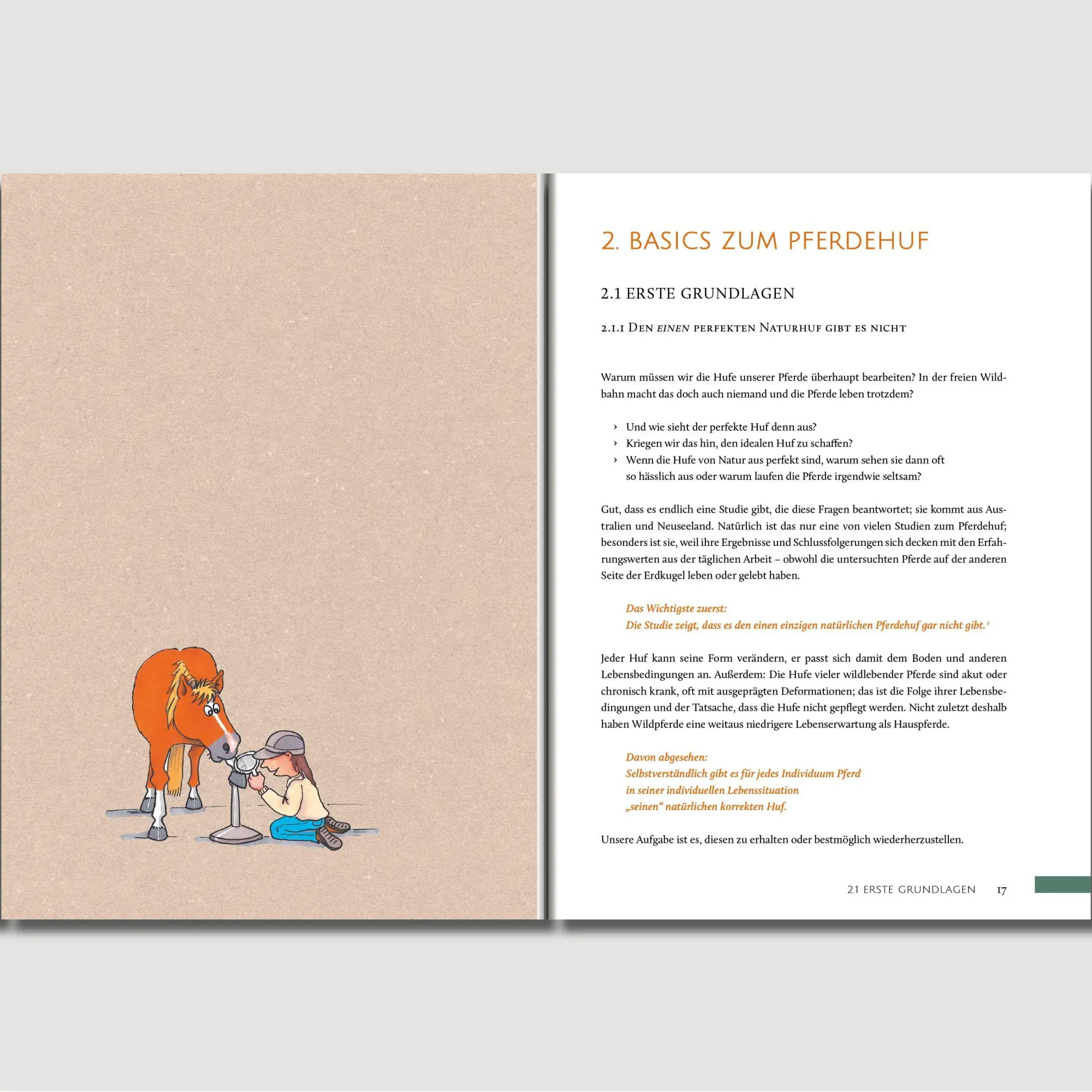 Bild: 9783758202506 | Hufwerk | Handbuch zum Pferdehuf | Kati Jurth | Taschenbuch | 304 S.