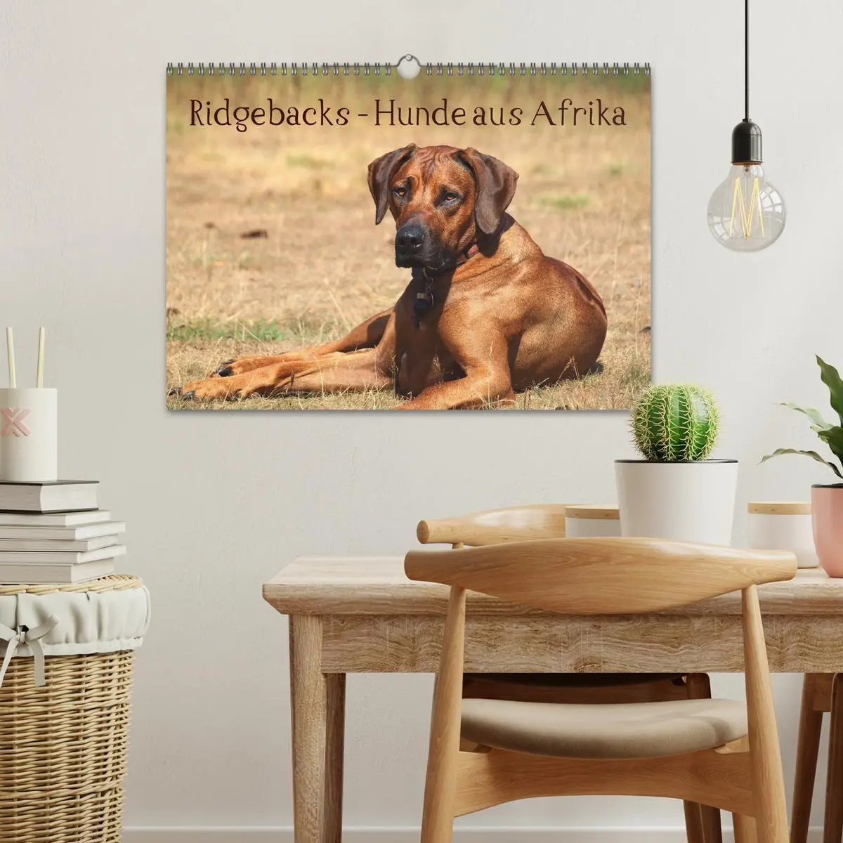 Bild: 9783516012606 | Ridgebacks - Hunde aus Afrika (Wandkalender 2026 DIN A3 quer),...