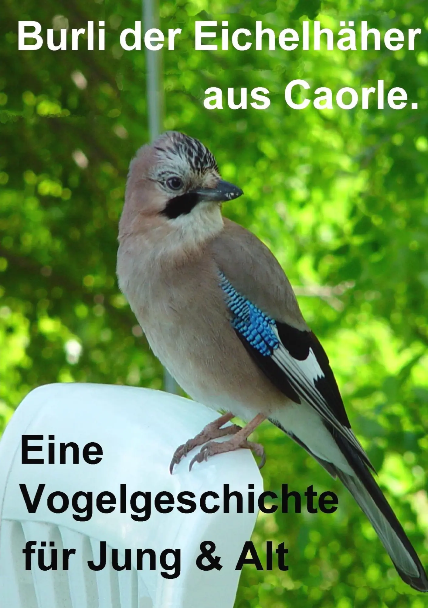 Cover: 9783837012606 | Burli der Eichelhäher aus Caorle | Karl Breitenegger | Taschenbuch